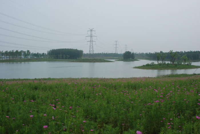 ɽ�|�H���а��˺ӭh(hu��n)����������